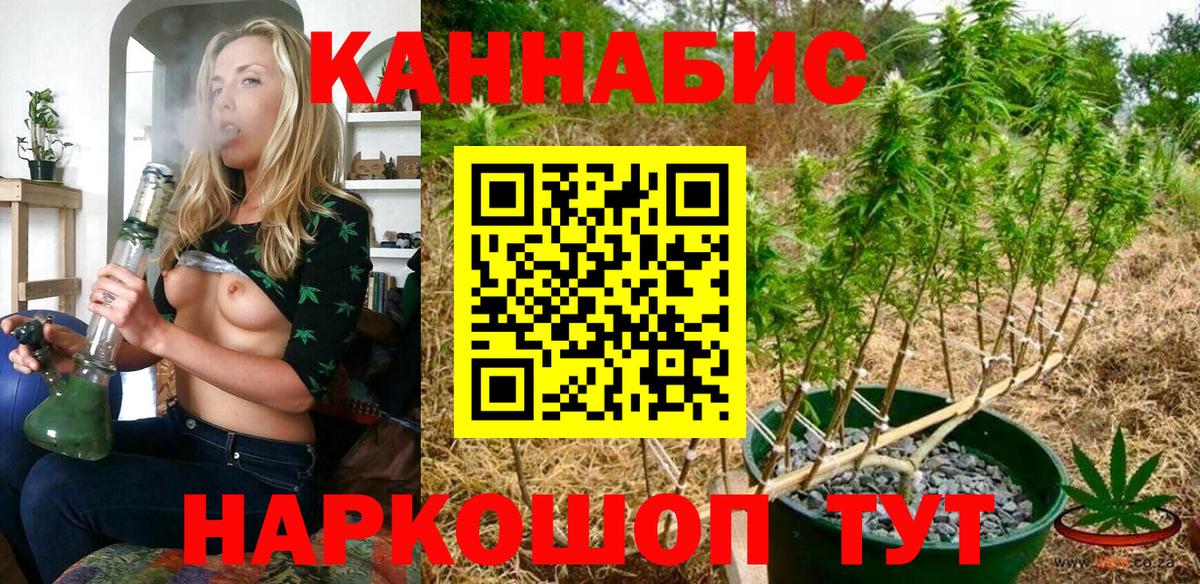 Бошки Шишки семена Кольчугино